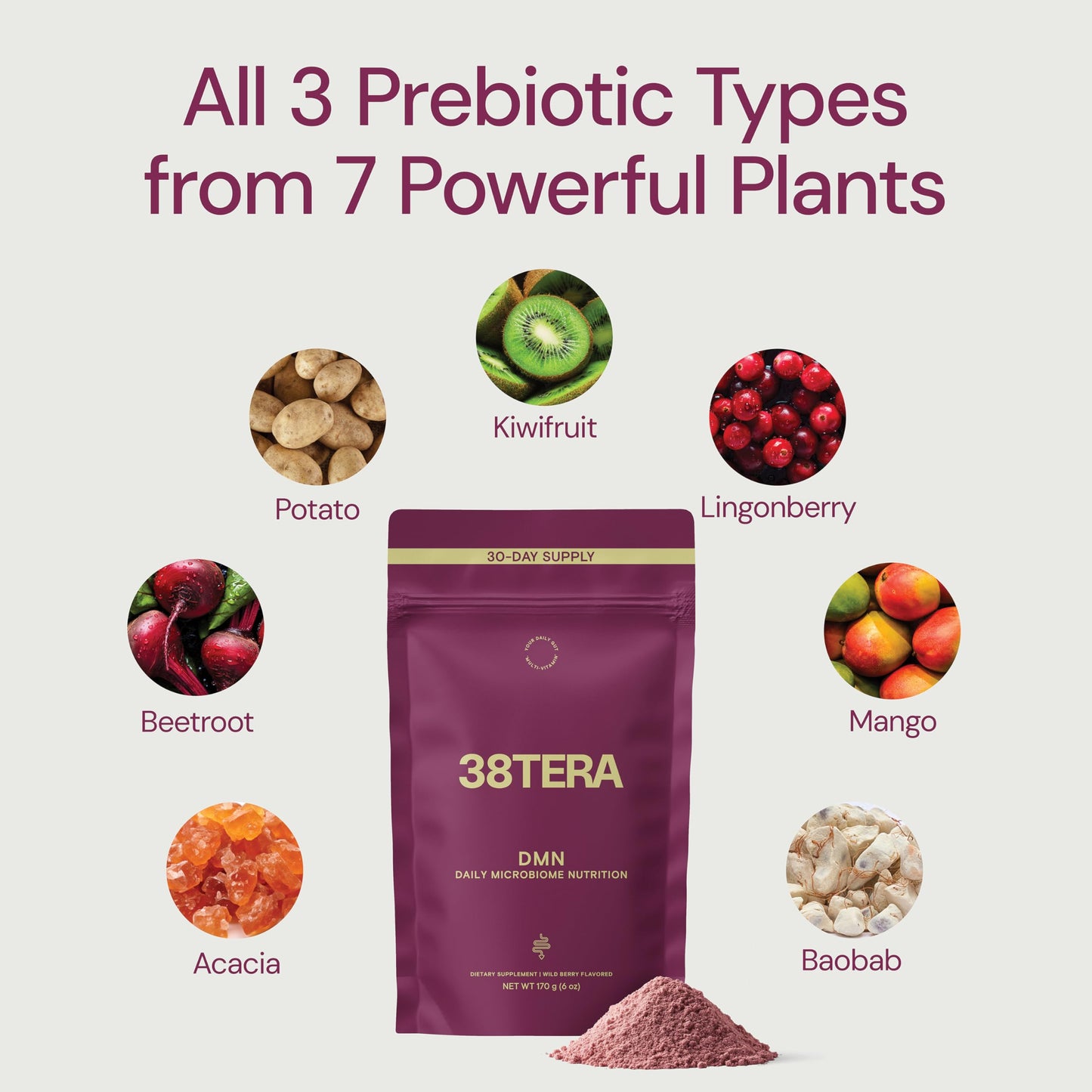 38TERA DMN Daily Microbiome Nutrition | Plant-Based Fiber Powder with 3 Prebiotics, Low FODMAP, Vegan, Wild Berry