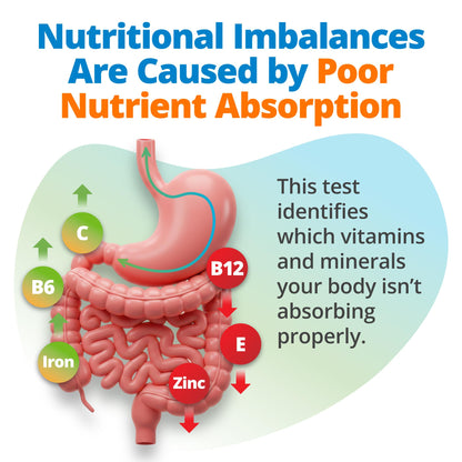 5Strands Nutrition Test – 112 Vitamins & Minerals | At-Home Hair Analysis | 4-Day Results