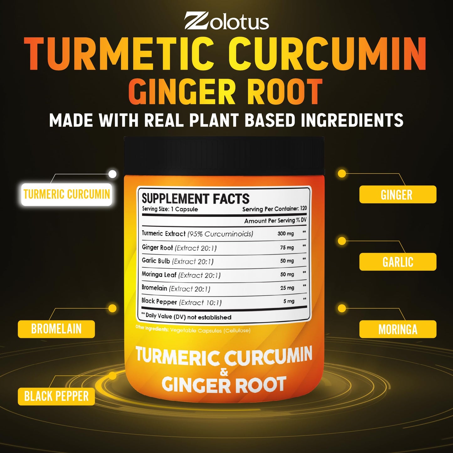 6 in 1 Turmeric Curcumin + Ginger Capsules - 95% Curcuminoids, Black Pepper | 120 Capsules