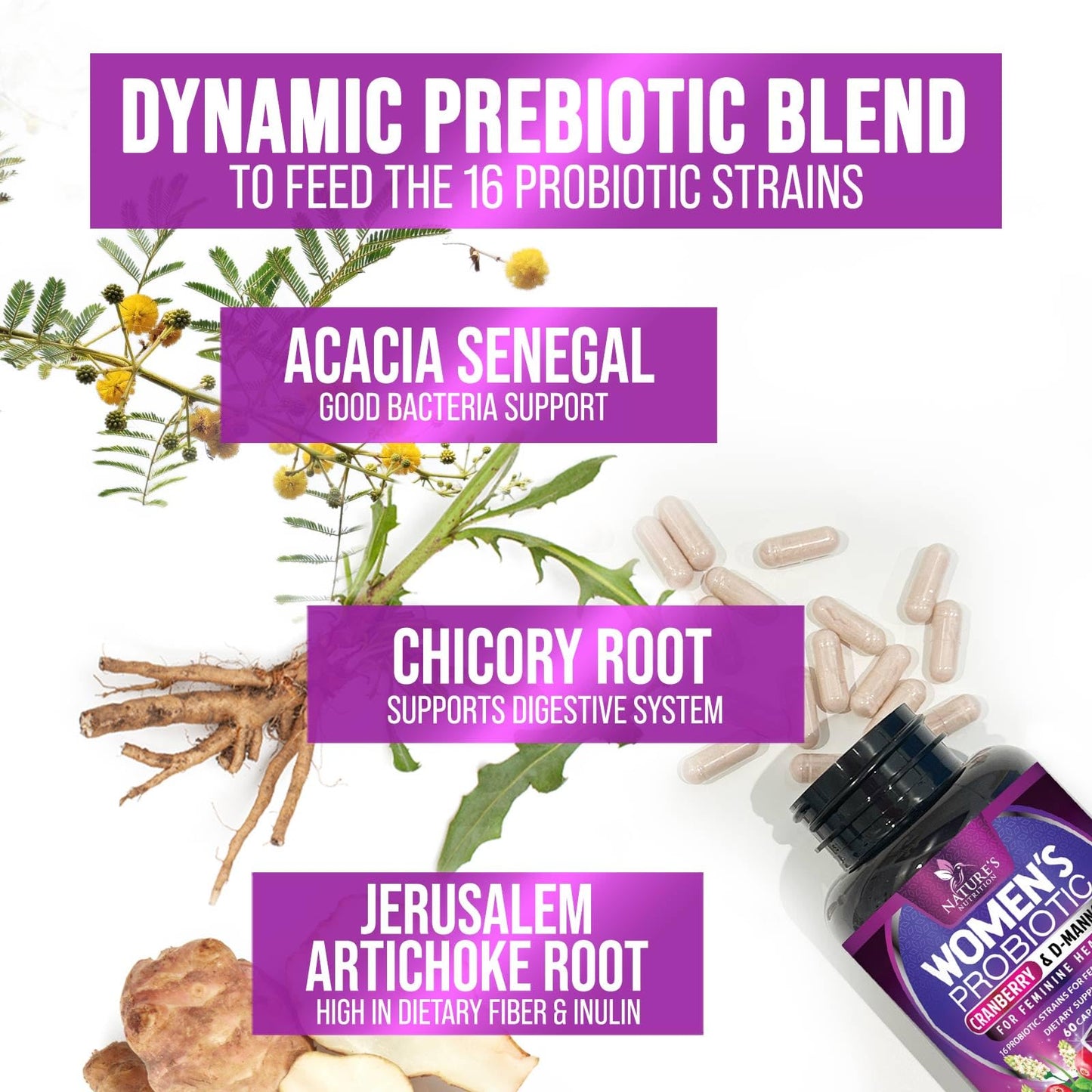 Womens Probiotic 60B CFU – 16 Strains, Cranberry & Prebiotics