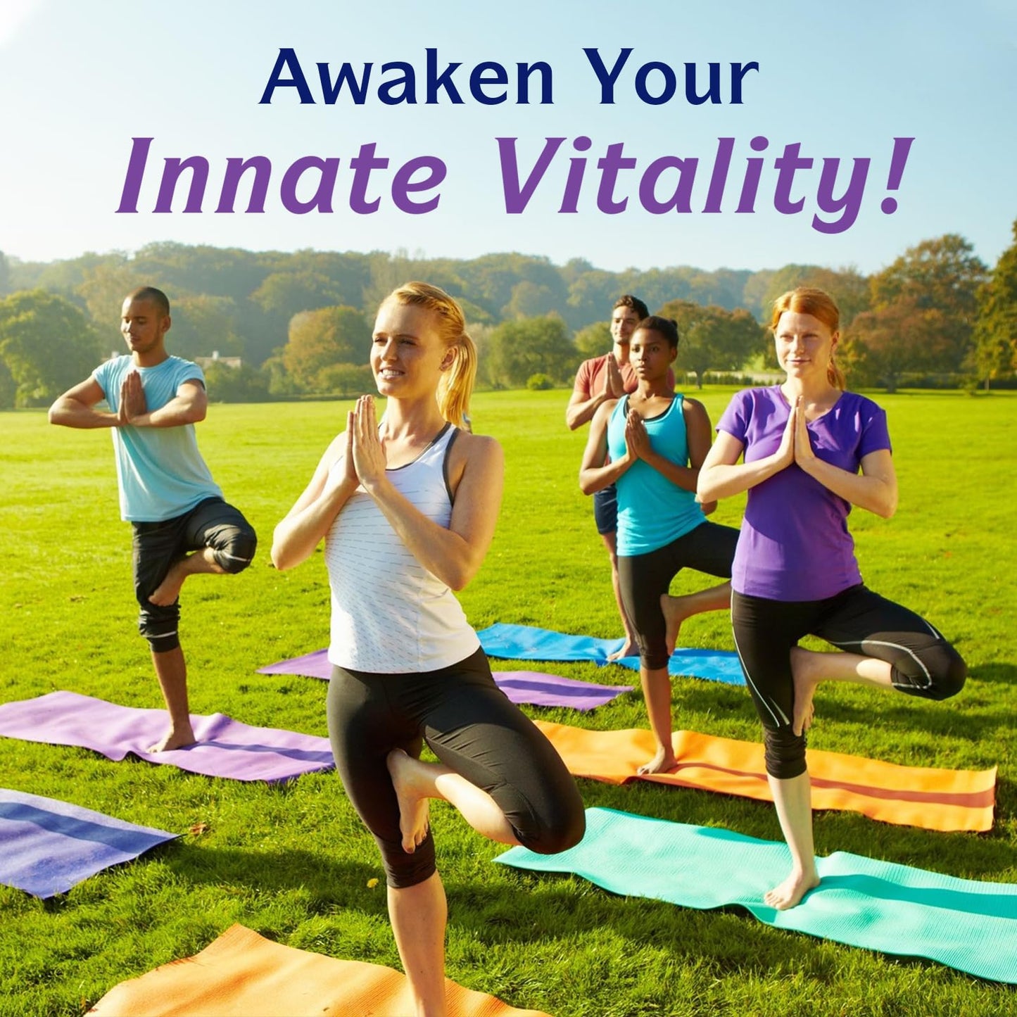 Innate Vitality Magnesium Glycinate 500mg | 70mg Elemental Mg | 240 Caps