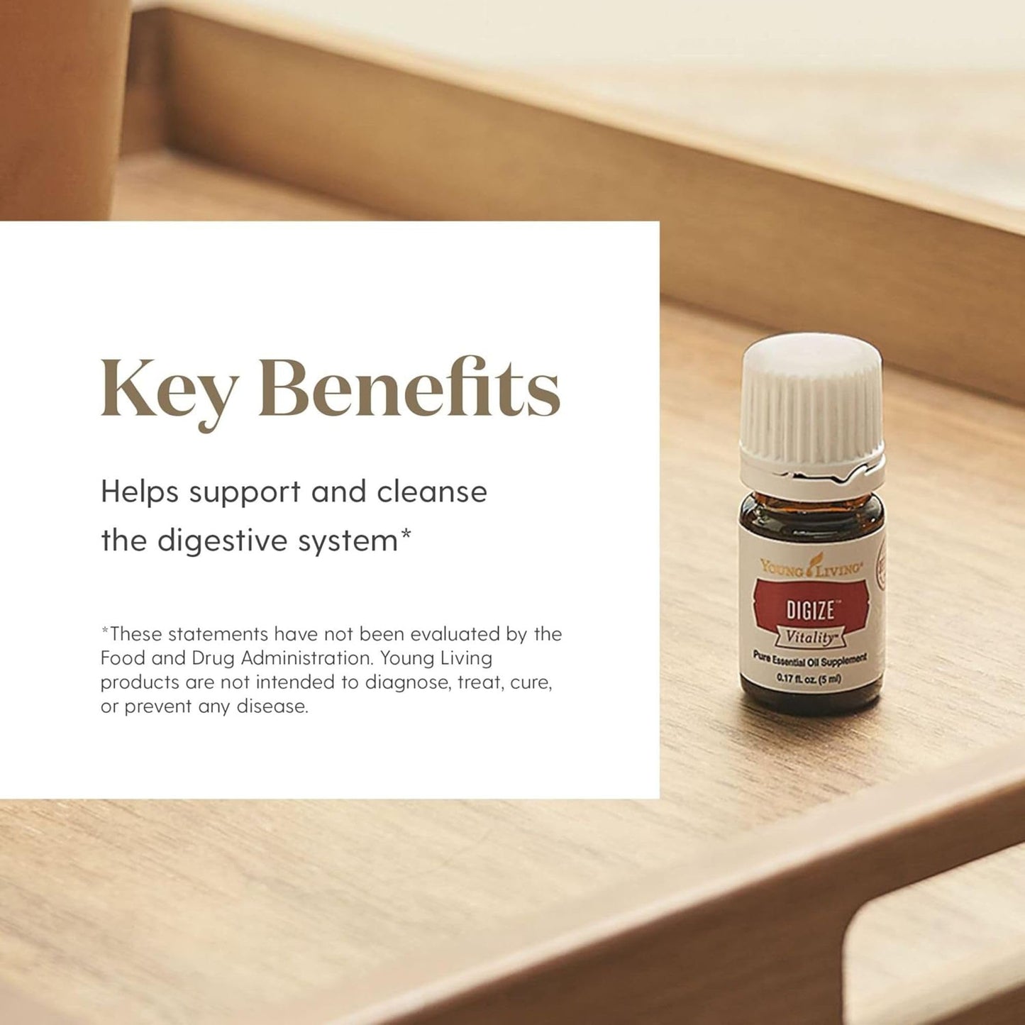 Vitality DiGize 5ml – Digestive Support | Young Living Essential Oils