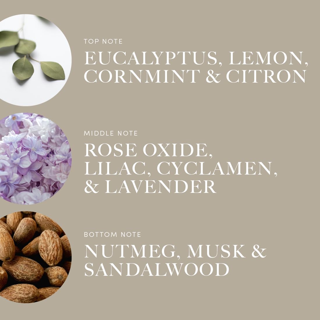 Across The Universe 120 mL - Luxury Home Fragrance Oil | Eucalyptus, Citrus & Florals