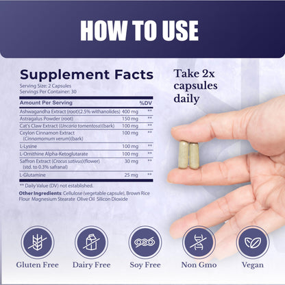 NATION HEALTH MD ActiveSpan Longevity Formula – Telomere Support with Ashwagandha & Cat’s Claw (60 Capsules)