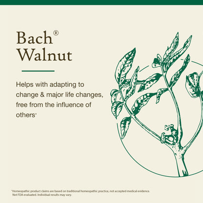 Bach Walnut Flower Remedy - Adapt to Change | 20mL Dropper | Vegan, Gluten Free