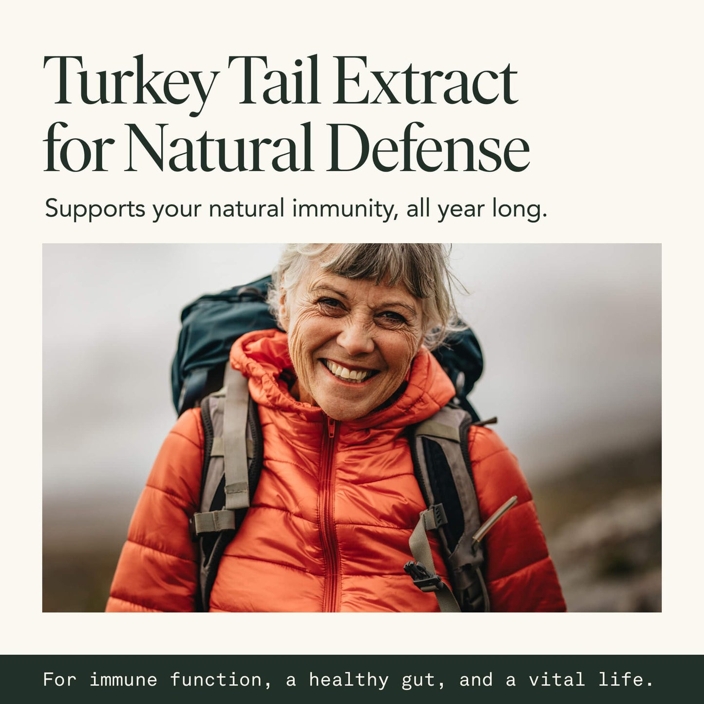 Organic Turkey Tail Mushroom Capsules – Immune & Gut Health (120 Caps, Vegan)