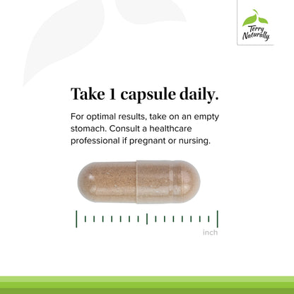 Terry Naturally Adaptra Adrenal Support - Ashwagandha & Rhodiola, 60 Capsules (Pack of 2)