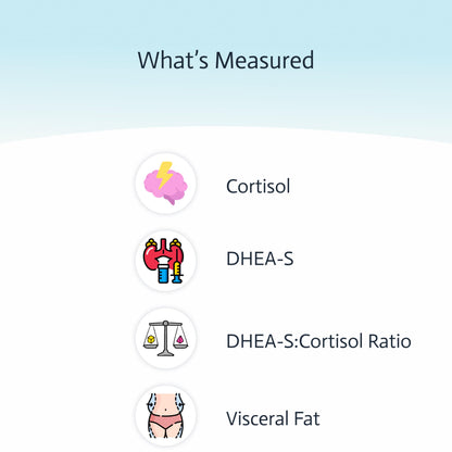 4-in-1 Cortisol & DHEA-S Adrenal Health Test | Sleep & Stress | Visceral Fat | CAP & CLIA Lab | Not Available in NY & RI