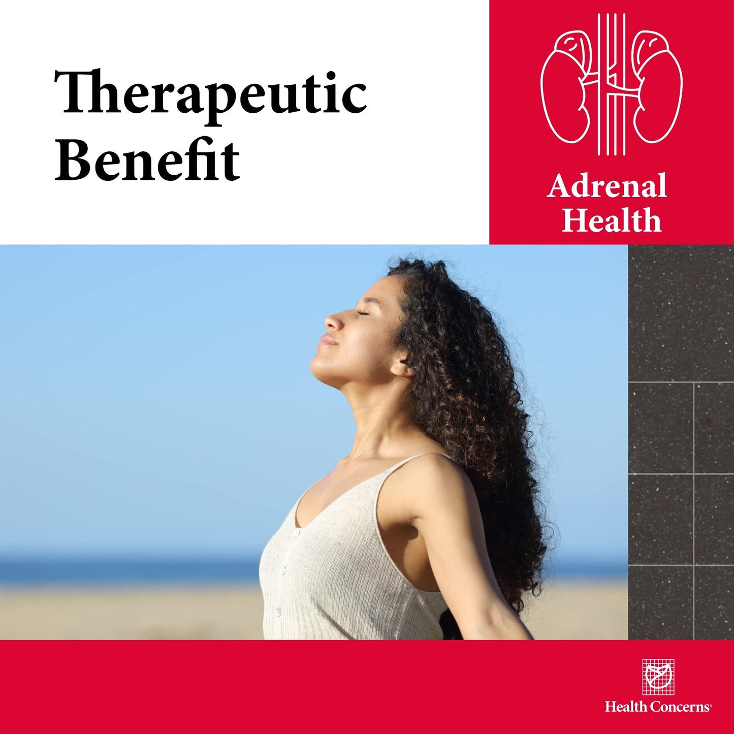 Health Concerns Adrenosen – Adrenal Fatigue & Burnout Support – 90 Capsules