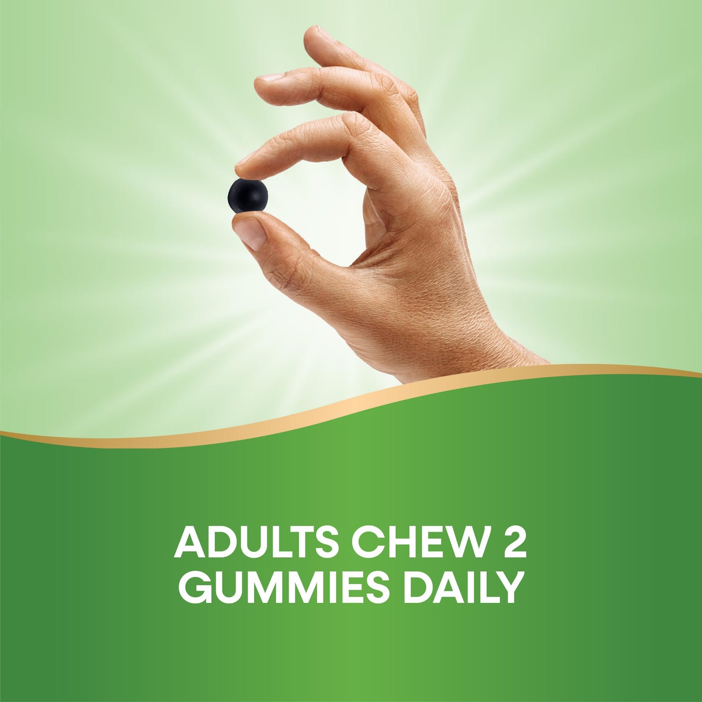 Nature’s Way Chlorofresh Chlorophyll Gummies – Orchard Fruit Flavor, 60 Gummies