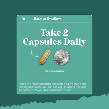 Advanced Brain Supplement for Memory and Focus | Nootropics for Adults