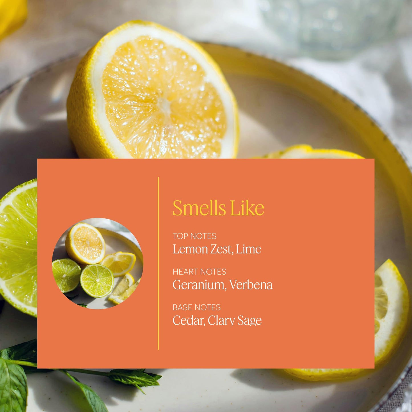 Aera Mini Citrus Essential Oil for Home | Lemon Zest Fragrance for Mini Diffuser