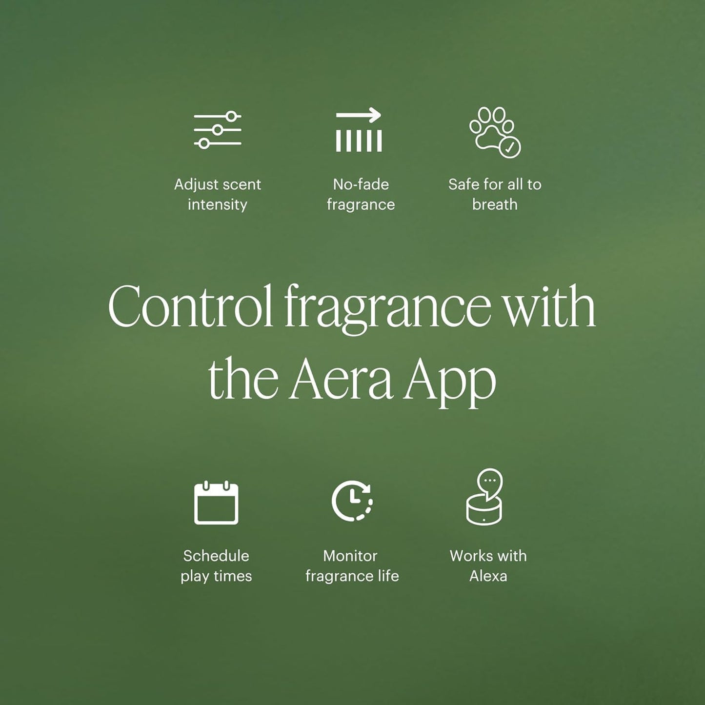 Aera Mini Rose - Essential Oil for Home | Fresh and Sensuous Floral Fragrance | Scent Refill for Mini Diffuser