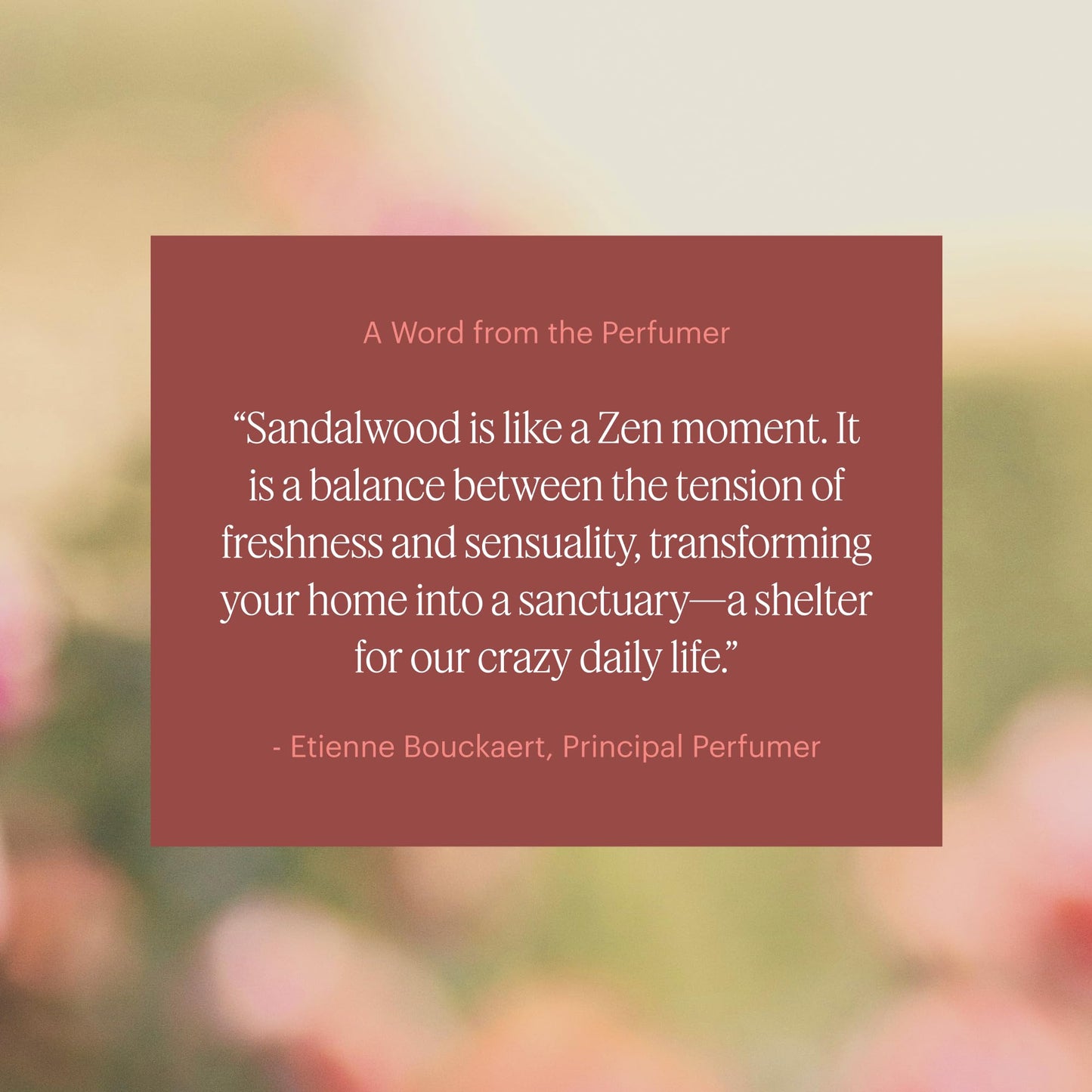 Aera Mini Sandalwood: Essential Oil for Home & Calm Fragrance