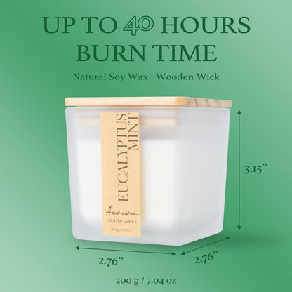 Aeviva Eucalyptus Mint Scented Candle – 7.04oz, 40 Hour Burn, Natural Soy Wax, Wood Wick