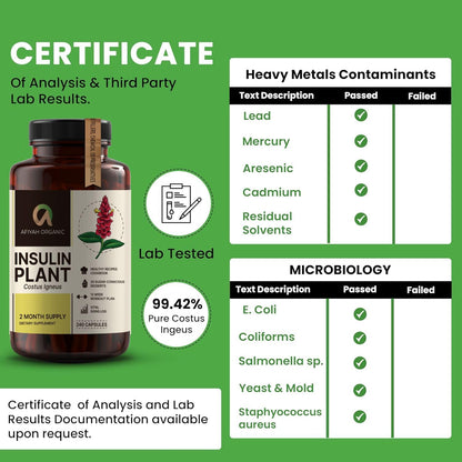 Afiyah Organic Costus Igneus Capsules – Premium Insulin Plant (240 Veggie Capsules)