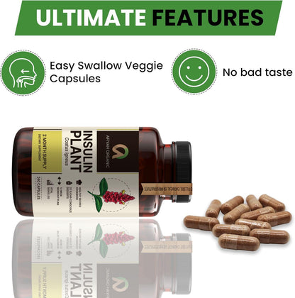 Afiyah Organic Costus Igneus Capsules – Premium Insulin Plant (240 Veggie Capsules)
