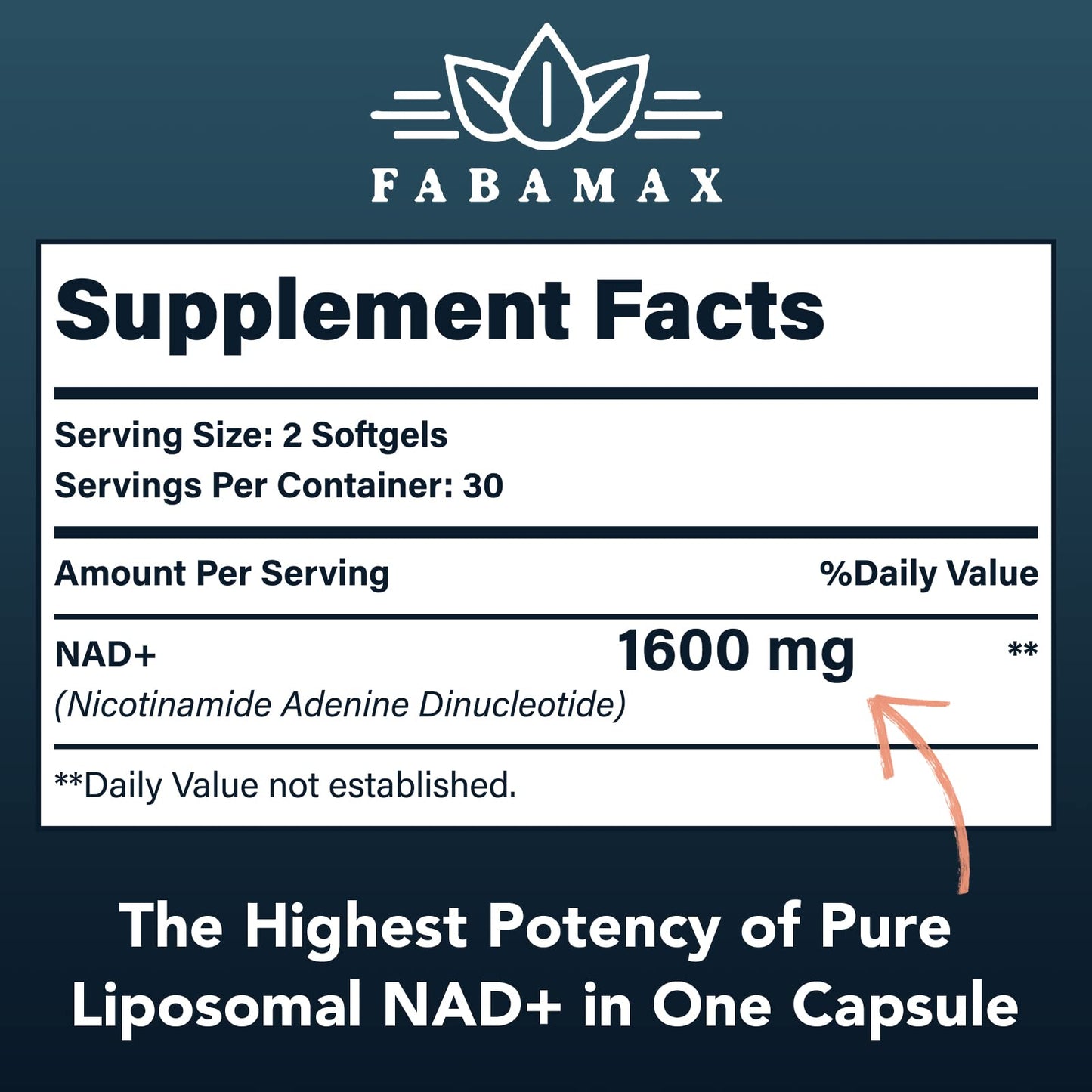 1600 mg Liposomal NAD+ Supplement – 98% Pure NAD+, Superior Absorption, 180 Softgels