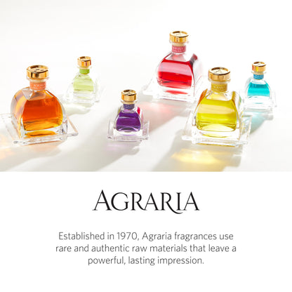 AGRARIA AirEssence Flower & Reed Diffuser Set – Handmade Sola Flower Home Fragrance Gift