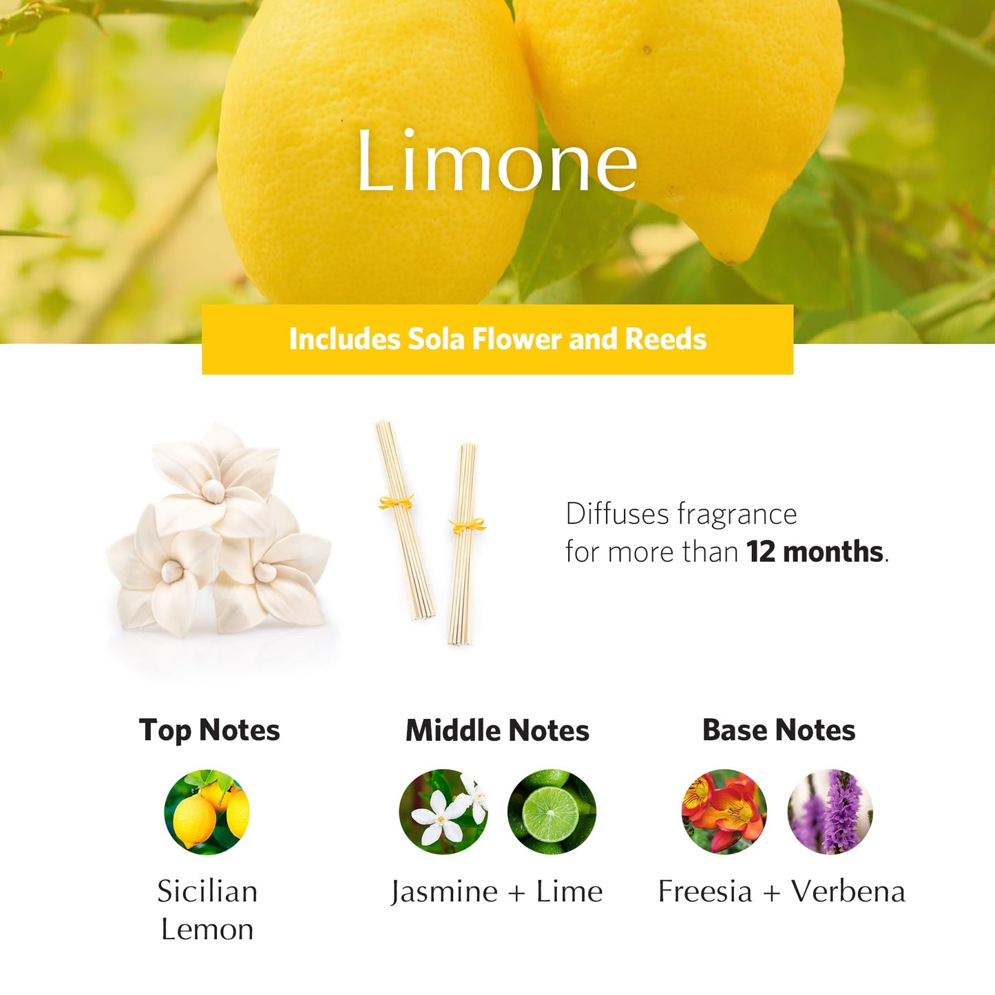 AGRARIA Monique Lhuillier Limone AirEssence Diffuser – 7.4 oz