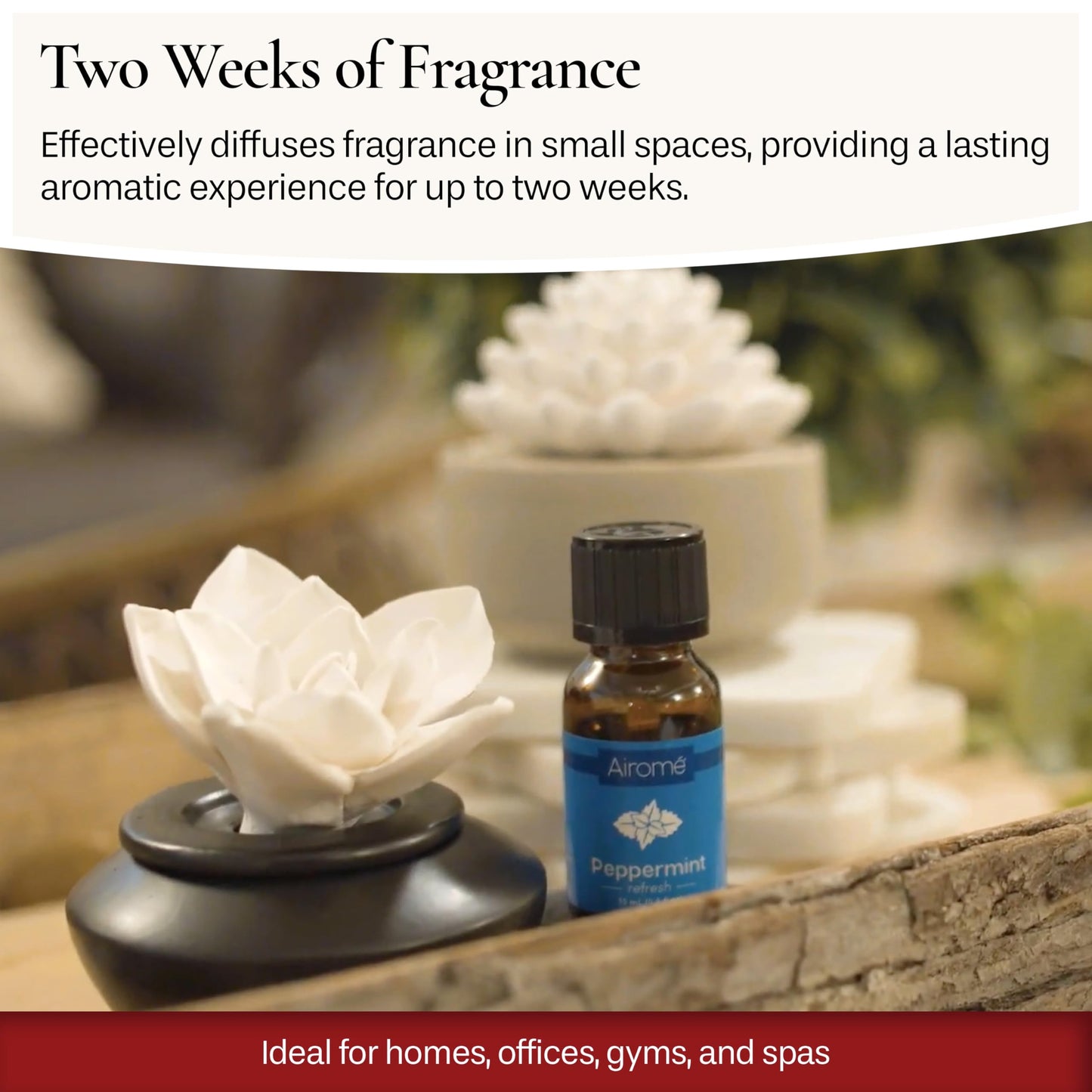 Airomé White Succulent Porcelain Passive Diffuser – Non-Electric, 15ml Peppermint Oil Included