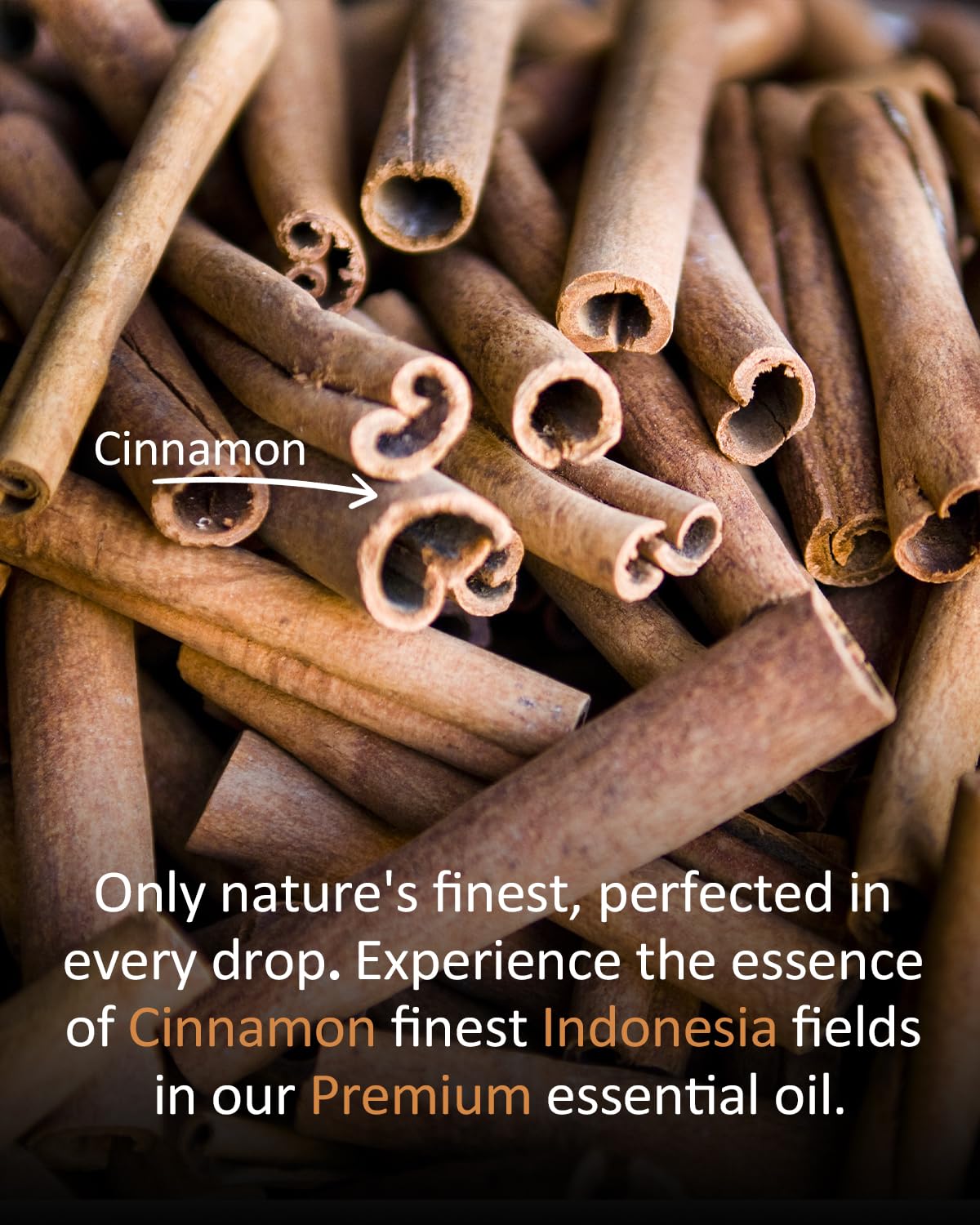 Airoomoil Cinnamon Essential Oil – 4 oz / 120 ml, 100% Natural Premium Grade for Diffusers, Skin & Massage
