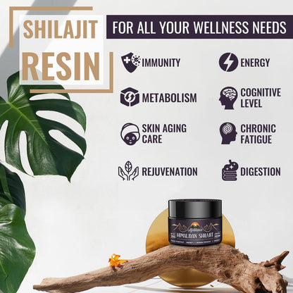 Ajoblanco 600mg Himalayan Shilajit Resin - Organic Ayurvedic Energy