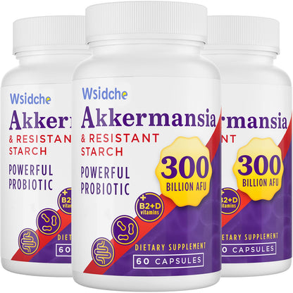 Wsidche 300 Billion AFU Akkermansia Probiotic | 3 Packs for Digestive & Gut Support