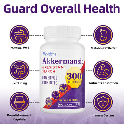 300B AFU Akkermansia Probiotic | GLP ONE Digestive & Immune Support | 60 Caps