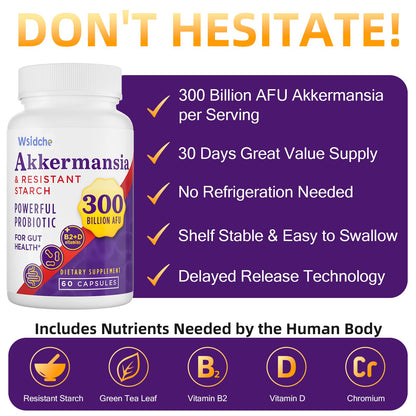300B AFU Akkermansia Probiotic | GLP ONE Digestive & Immune Support | 60 Caps