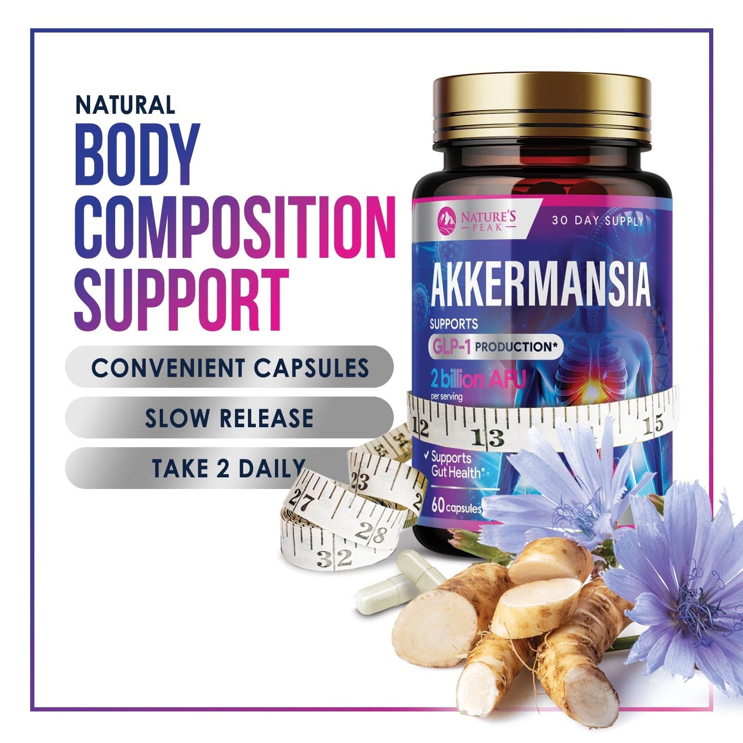 Akkermansia Probiotic Supplement - 2 Billion AFU GLP-1 with Prebiotic Fiber - 60 Capsules
