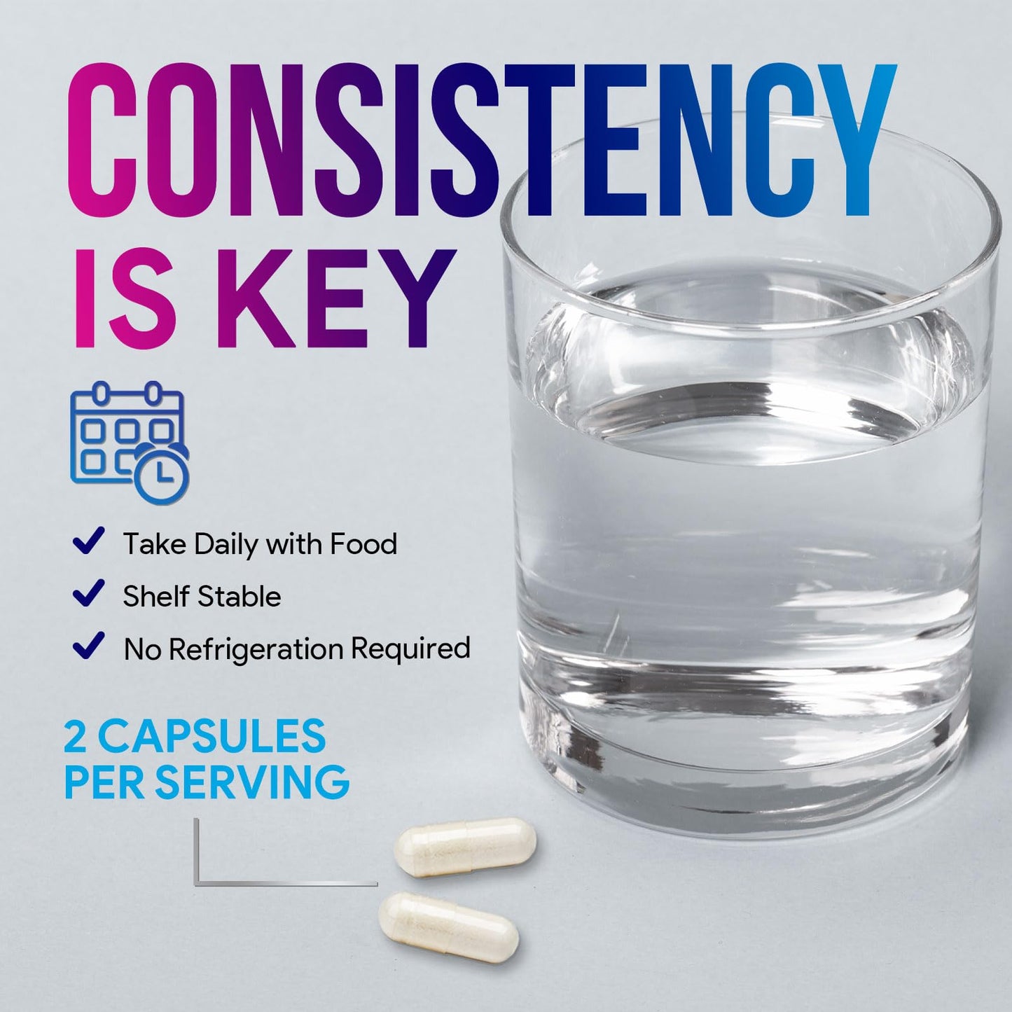 Akkermansia Probiotic Supplement - 2 Billion AFU GLP-1 with Prebiotic Fiber - 60 Capsules