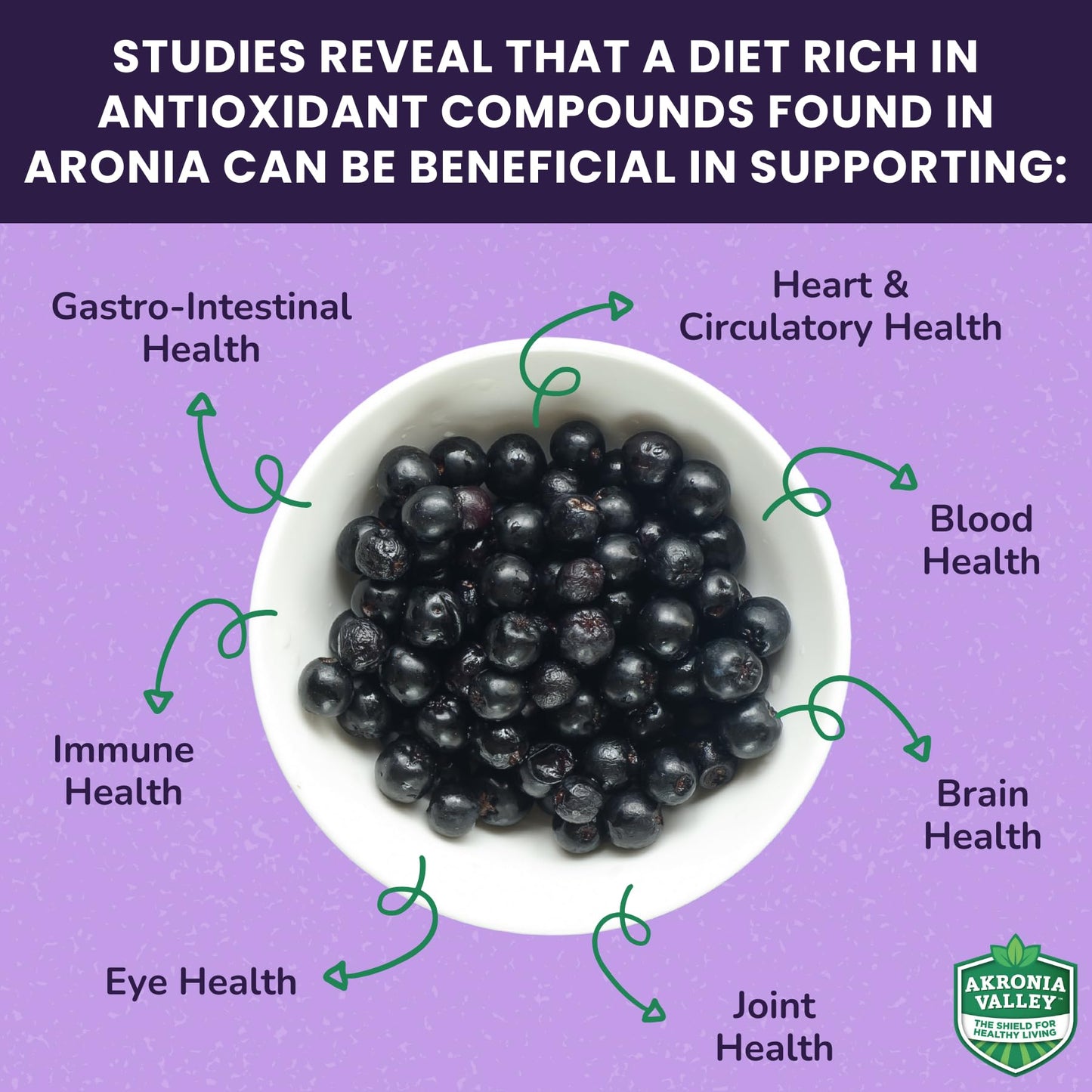 Akronia Valley 100% Aronia Berry Juice | 16 Fl Oz (Pack of 6) One Month Supply | Gluten Free Superfood Juice Drink