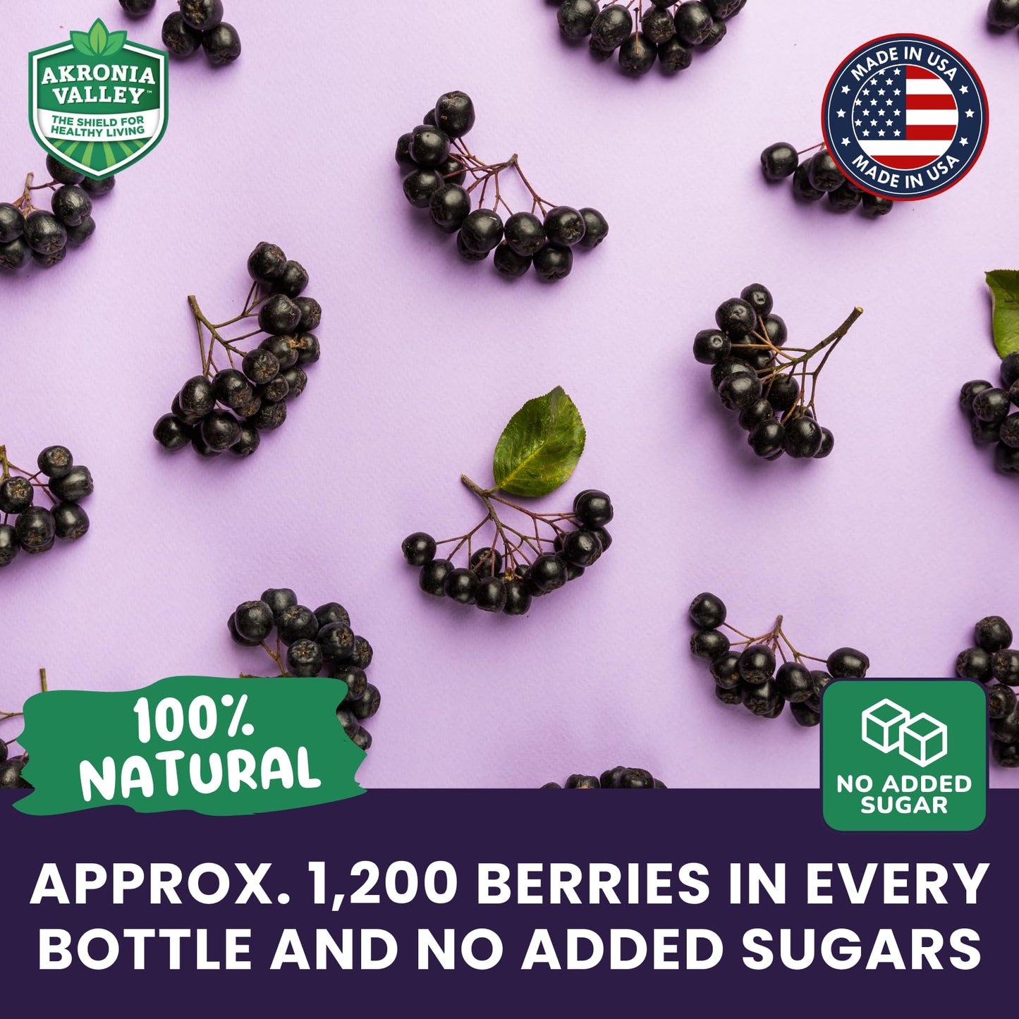 Akronia Valley 100% Aronia Berry Juice | 16 Fl Oz (Pack of 6) One Month Supply | Gluten Free Superfood Juice Drink