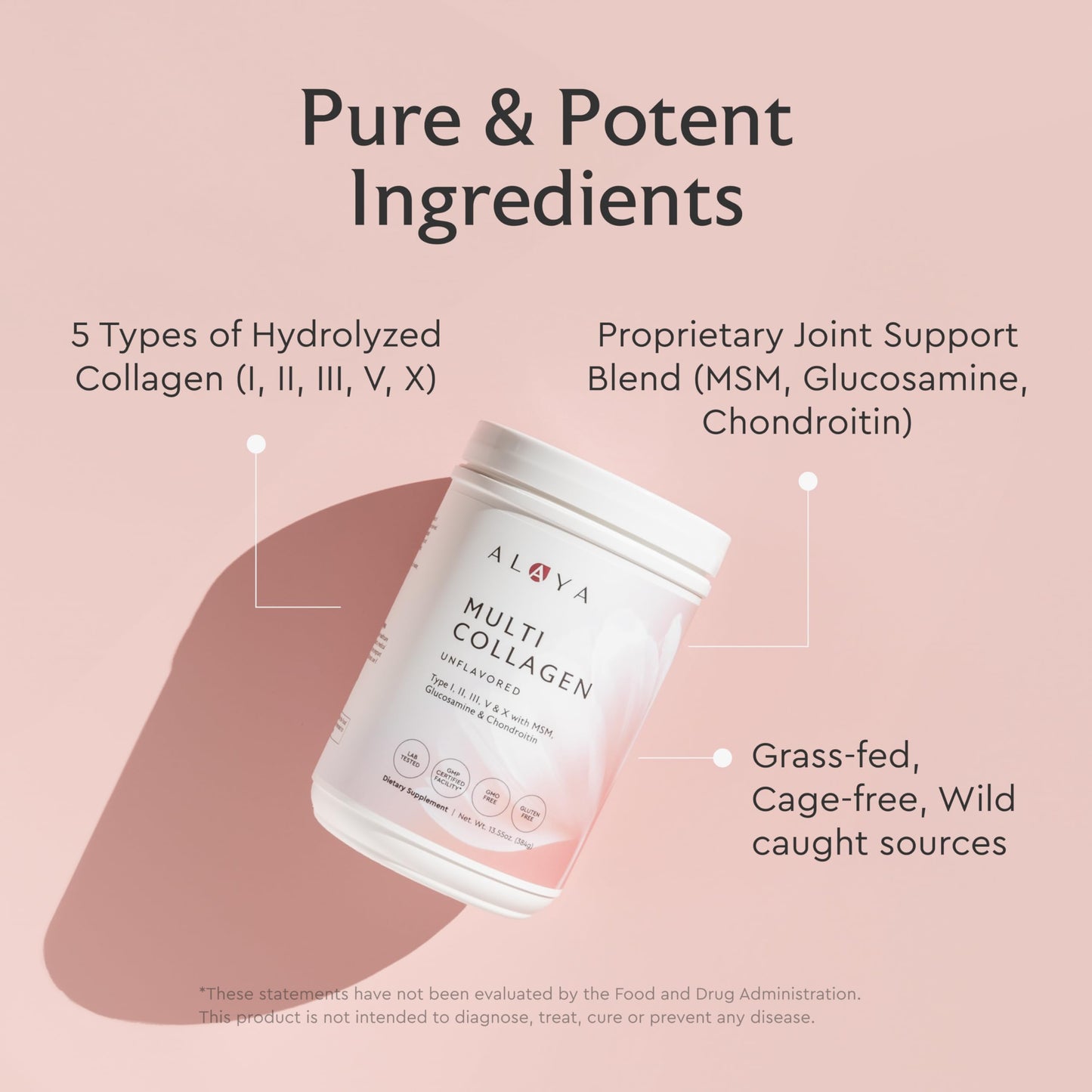 Alaya Naturals Multi Collagen Powder – Chocolate (Type I–X) with MSM & GC