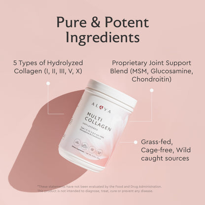 Alaya Naturals Multi Collagen Powder – Chocolate (Type I–X) with MSM & GC