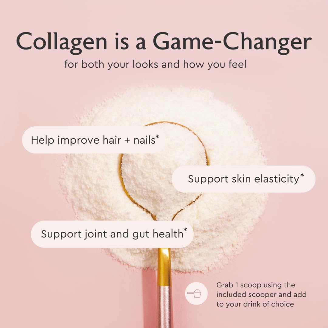 Alaya Multi Collagen Powder - Type I, II, III, V, X Hydrolyzed Collagen Peptides + MSM (Unflavored) - 40 Servings