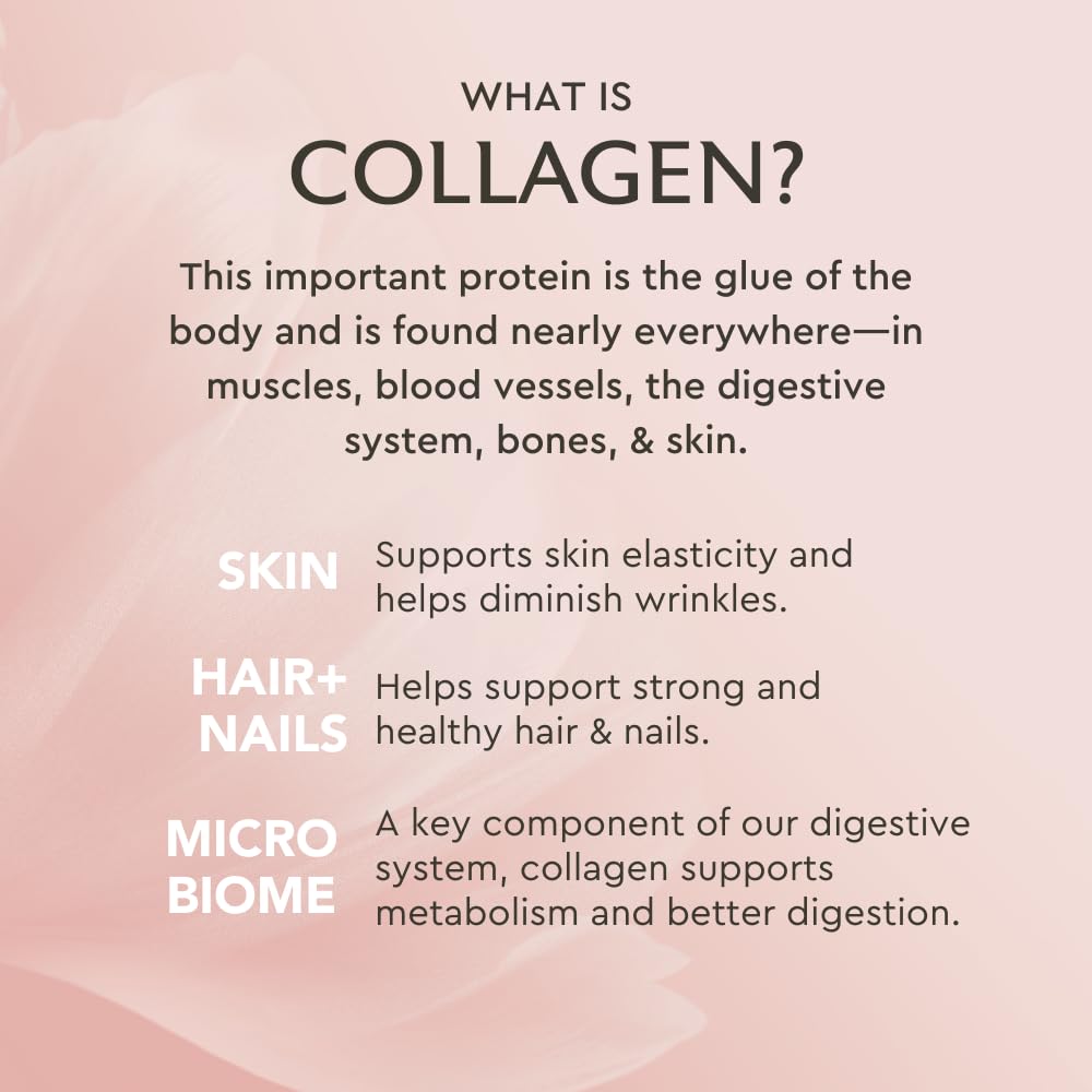 Alaya Naturals Multi Collagen Powder Vanilla – Type I, II, III, V & X with MSM + GC