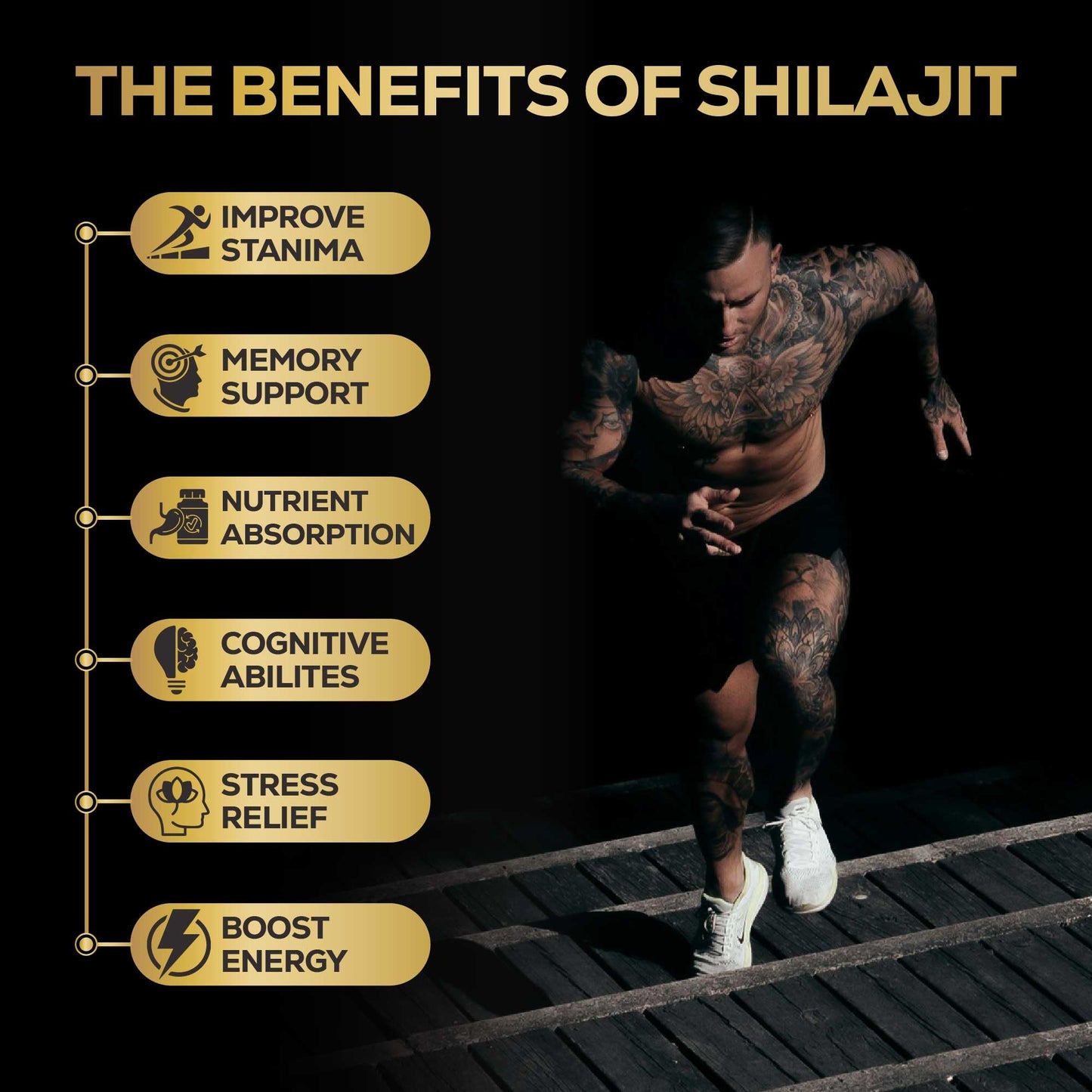 Alcami Premium Himalayan Shilajit Resin – High Potency 50g (100 Servings)