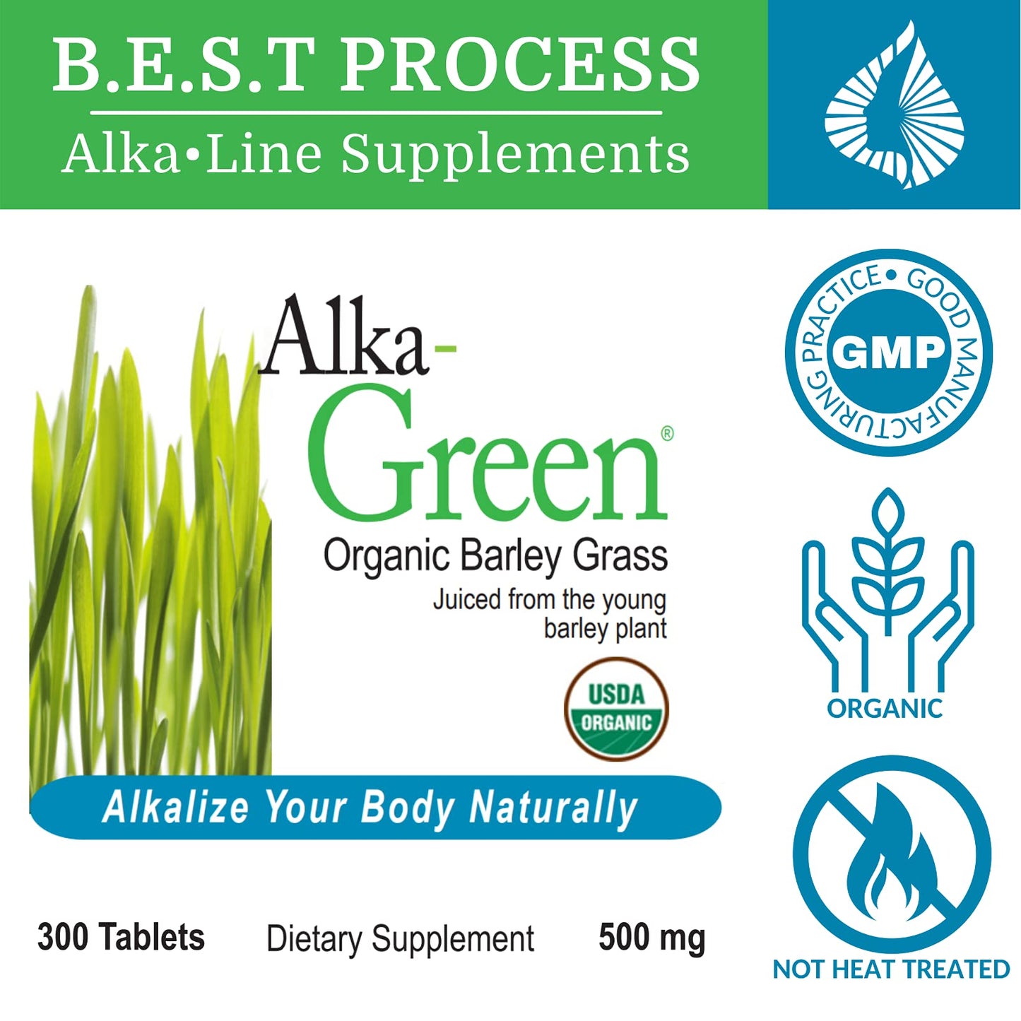 Morter HealthSystem AlkaGreen Tablets - Alkaline Barley Grass