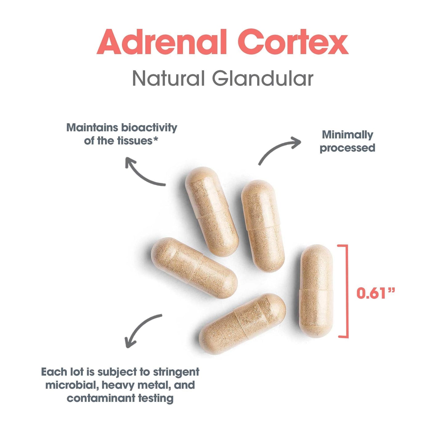 Allergy Research Group Adrenal Cortex Support - Adrenal Glandular Supplement, Immune Function, 100mg Adrenal Extract, Bovine - 100 Count