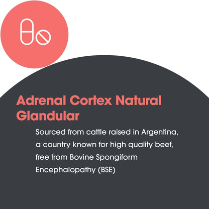Allergy Research Group Adrenal Cortex Support - Adrenal Glandular Supplement, Immune Function, 100mg Adrenal Extract, Bovine - 100 Count