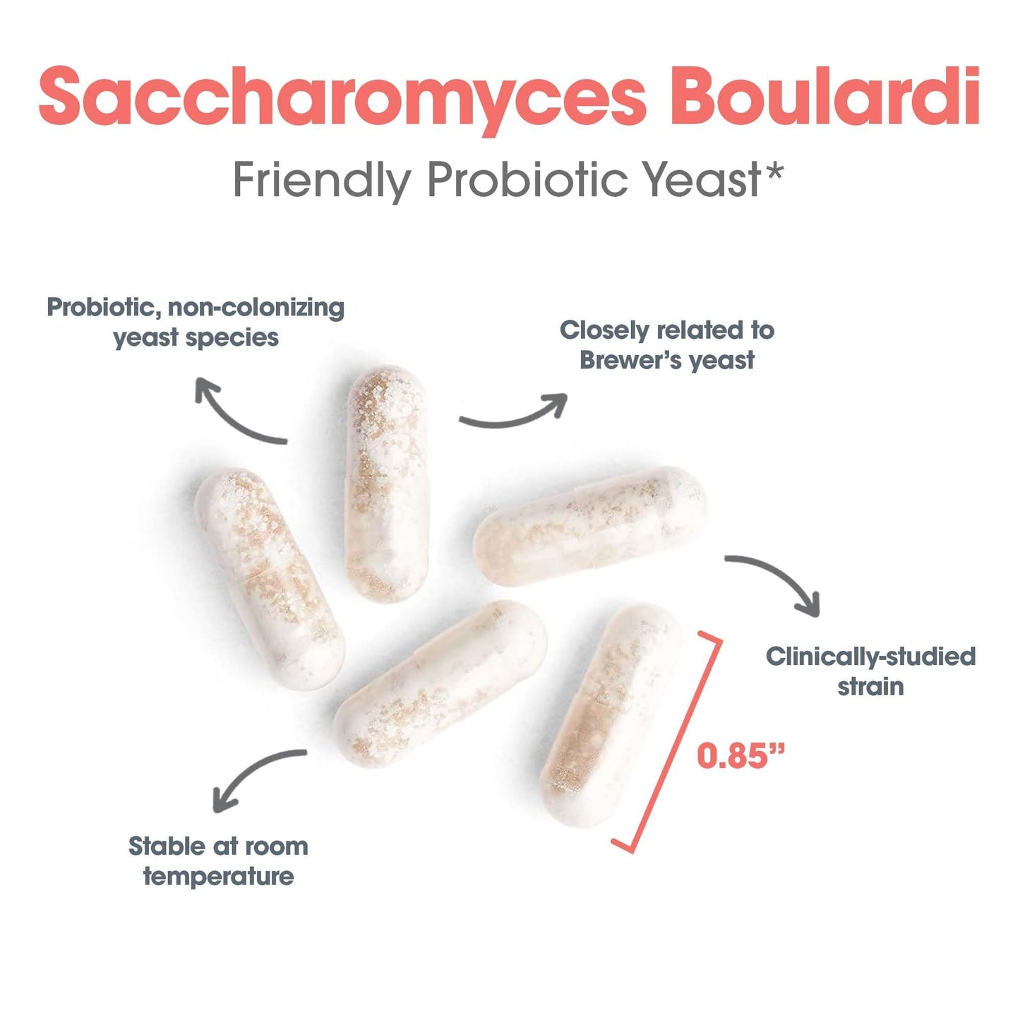 Allergy Research Group Essential-Biotic Saccharomyces boulardii 450mg Probiotic - 120 Count