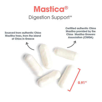 Allergy Research Group Mastica - Mastic Gum Capsules for Digestive Health - 240 Count
