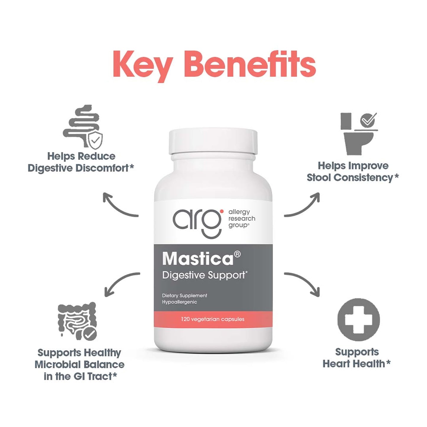 Allergy Research Group Mastica - 500 mg Mastic Gum Capsules for Digestive Support (120 Count)