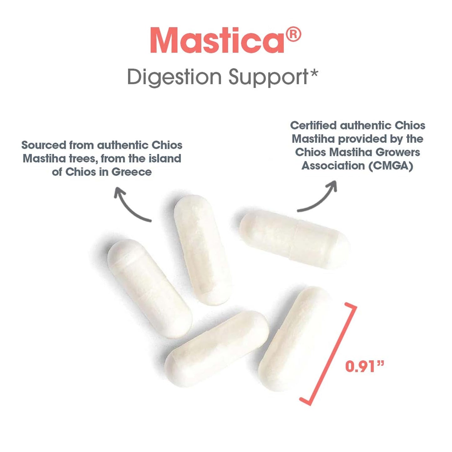Allergy Research Group Mastica - 500 mg Mastic Gum Capsules for Digestive Support (120 Count)