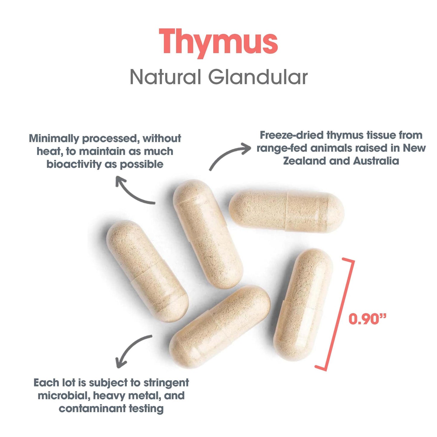 Allergy Research Group Thymus Glandular – 1000mg Ovine Thymus, Hypoallergenic, 75 Count