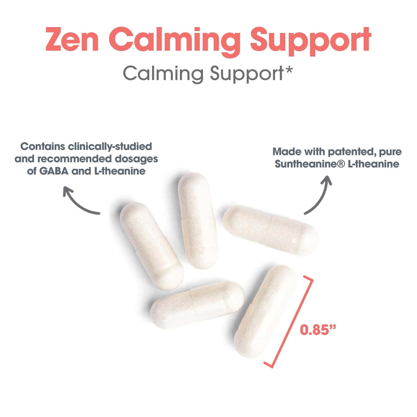 Allergy Research Group Zen: GABA + L-Theanine 200 mg for Calm & Sleep | 120 Veg Capsules
