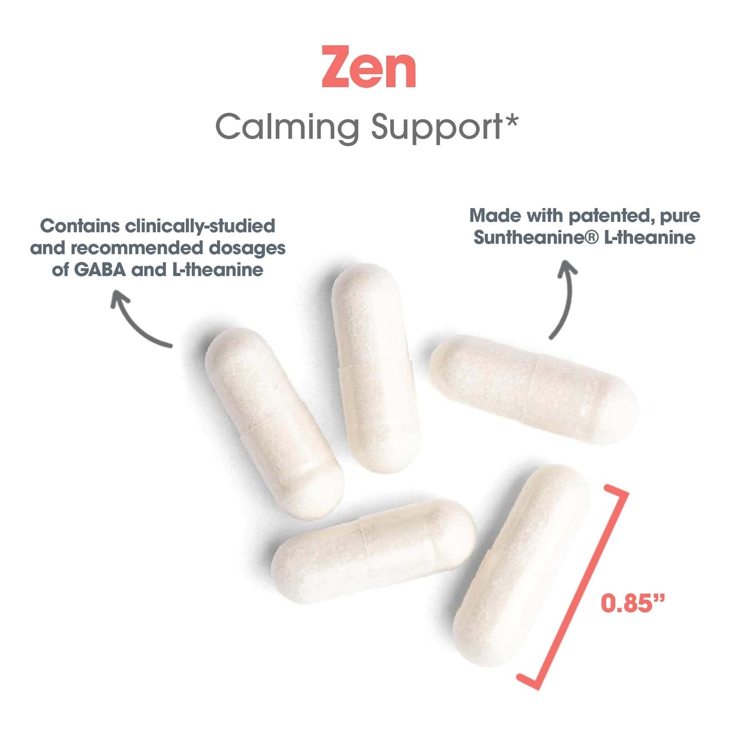 Allergy Research Group Zen: GABA + L-Theanine Calm Support for Day & Night — 60 Vegetarian Capsules
