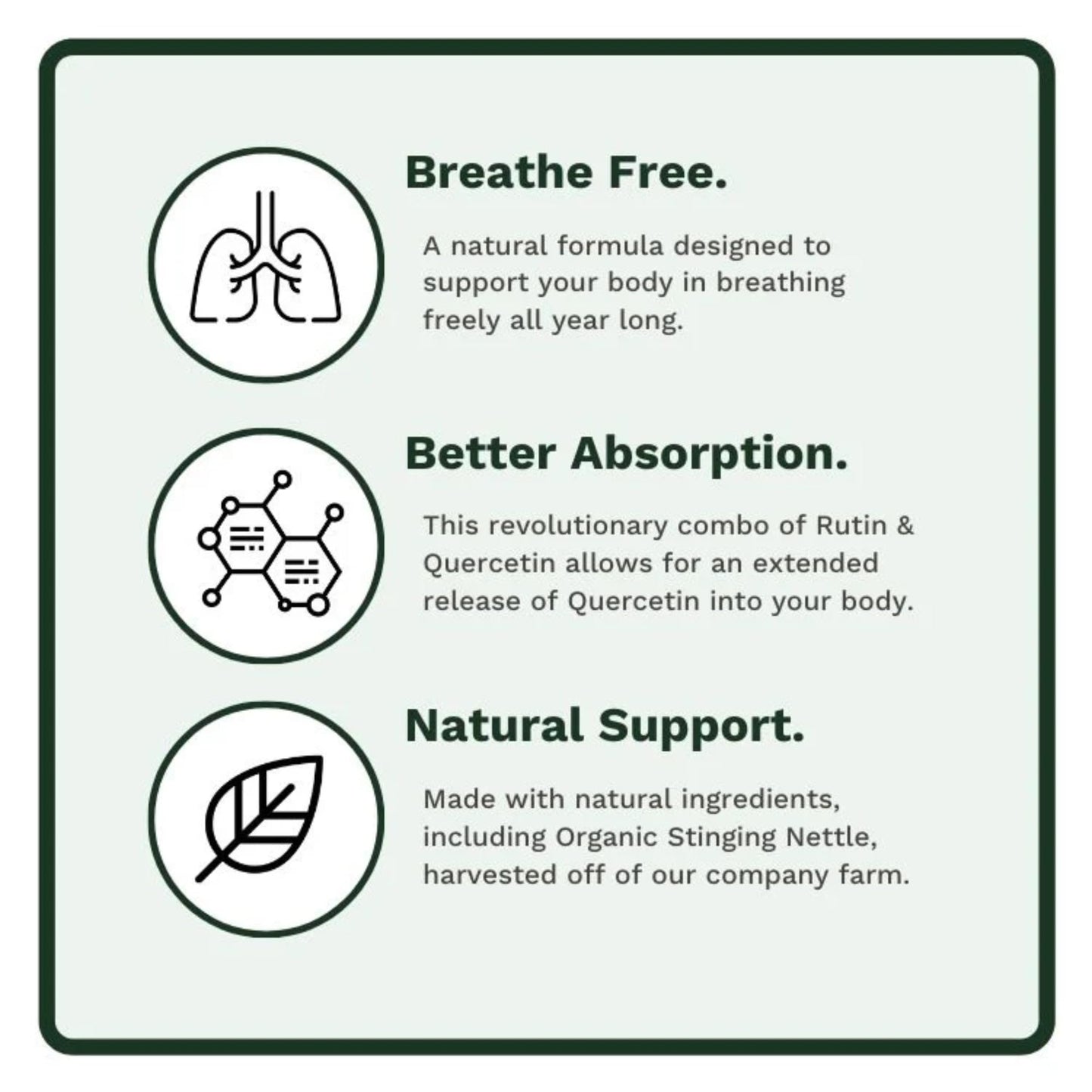 Utzy Naturals Allurtica — Sinus & Respiratory Support with Quercetin & Stinging Nettle (40 Capsules)